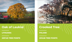 1bbaf29b-9d08-4f15-ac70-004d0b707e20