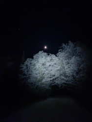 d0ed5eb4-41ef-45fc-adcf-2cce8e089a1c