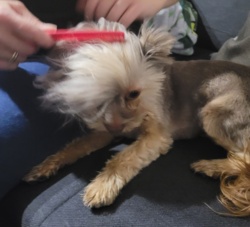 4d3a06c4-542f-4123-81dd-53172c47170f