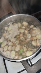 9acc3ecd-96d8-4e5a-bdf4-40c602a7e1fb