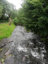 c6328ba3-abe0-4b9f-a0ab-bae22959aa62