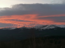 167aeb29-2e3e-47fa-9ecf-a299098fbc3d