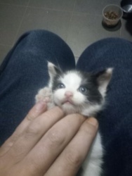 88adf95b-a37d-43d8-bc59-c2985717d401