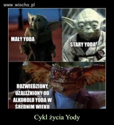 7d6708c0-509a-434d-8a84-6ad1f98ad0f0