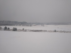 f5e2c8ee-98d1-4818-95ac-32853ab4d9b0