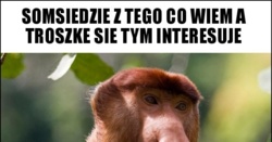 c01072d0-0d7a-406a-bf81-e06e8db19750