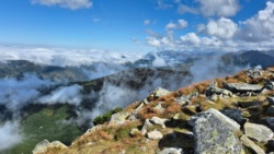 ce10f08e-d1f1-4b0d-b249-458502260e83