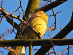 55b81de5-d770-4425-a2c3-0ed047f17af1