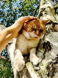 5ca88540-9e88-416b-816a-d2dd4ff3dcfc