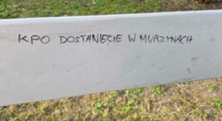 ff31feee-1af7-4f2e-a1c5-e8ac84bfb10b