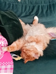 594876b9-b371-4a97-8dcc-73ce117039a9