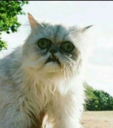 24db4612-1acc-4b21-ab6e-27ebae620dcc