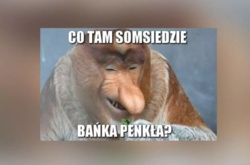 892a28cd-46e4-4a3f-9686-ff9a4822294a