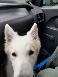 c31538de-af60-47e1-aac5-0e7710677310