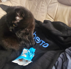 d18308f1-24a4-4bc6-b879-cbebd3d0a3e6