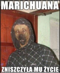 893c6a32-d757-4dc9-8166-038ba2bbb402