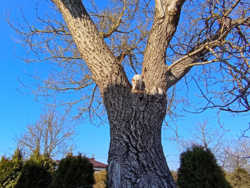 1f737cd8-a19d-44b6-a800-d08591c6a9c5