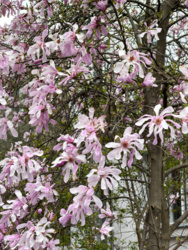 ae620d73-878b-4bb7-93cf-40fa7dfc9b3b