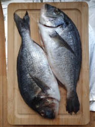 a2e5fc5d-03ae-4a8a-9d48-f32b57c4ef79