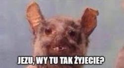 34ec3627-ad38-41e1-905b-9eab5de439d7