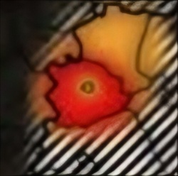 a4d15253-fde2-4861-b570-e77eef4179ee