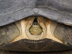 a307f64b-3295-4c45-88af-524a5d9c4bba