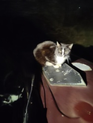 f21fff02-3142-4c02-bc5c-b85ac96e1c48