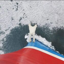 8a69aff0-9076-42df-921c-efed42d5c090