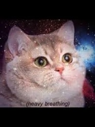 44a0dd60-7850-4917-a9d8-42527404c4d5