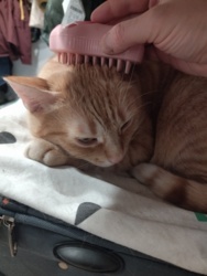 a172a935-9b28-401d-badc-a31100dac725