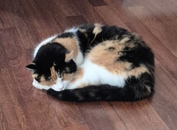 a8c6ce75-0f93-4cdd-b976-686a8150f3b7