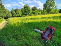 2b6e081c-e92d-46f2-957d-4f5cf0c27326