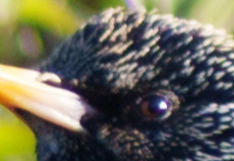 e3f7b2c8-91c8-4152-b164-bef4d9230f74