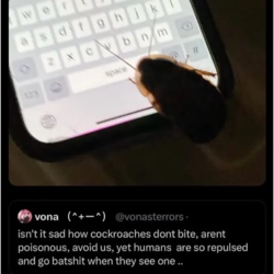 8fd6167b-1ae9-4835-a94d-b0e0a0df4152