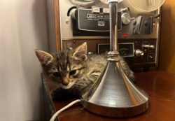 4b2e8919-6490-46c6-be1d-82576812f5a7