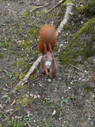 8a5b4a62-ebfa-4257-a43e-019b72821ce7