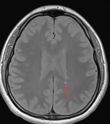 494a3b5f-190e-42d8-bc85-00f0f75c6356