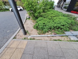 7263e78c-d392-47b4-bfd7-f9a8fc94ac6b