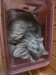 6a793938-07cc-4025-9bbf-4213d201057f