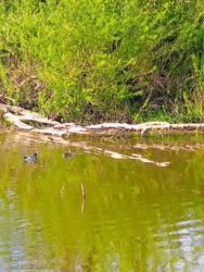 695c2841-16af-4465-8b40-2452b950598e