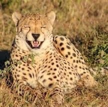 e67a6e2f-ec5c-493c-95b9-18d9517b1282