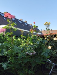 7099d4e4-b3a4-4d6f-8251-b672a86d83e1