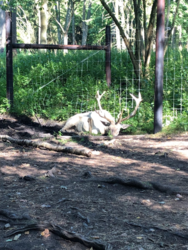 aff9b44e-0b79-4dfc-9cbf-b155728dc32c