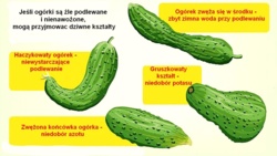 405035aa-b56a-4675-bb03-8972225e1862