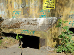 32239e2b-d897-49f9-9802-cfbc80a58c26