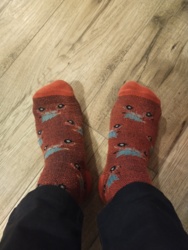 7cf57fec-c858-4cef-9b59-17652360e0e8