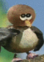 5bc899d0-cfea-4a49-9d71-4b6873814475