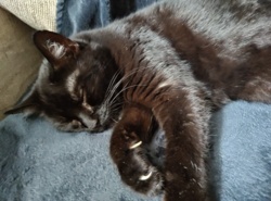 7378497a-e4d9-4076-a52f-503f438ddcb9