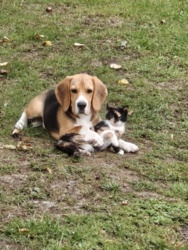 99997bbb-5ee5-401b-8ee3-b00becdb272e