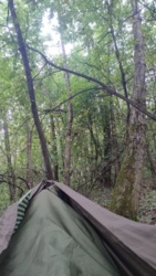 fc47c91a-5e22-46fa-b82c-8639cbae6e74